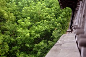 Side angle view of bridge