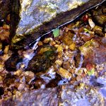 river rocks, Chemical Oxygen Demand COD