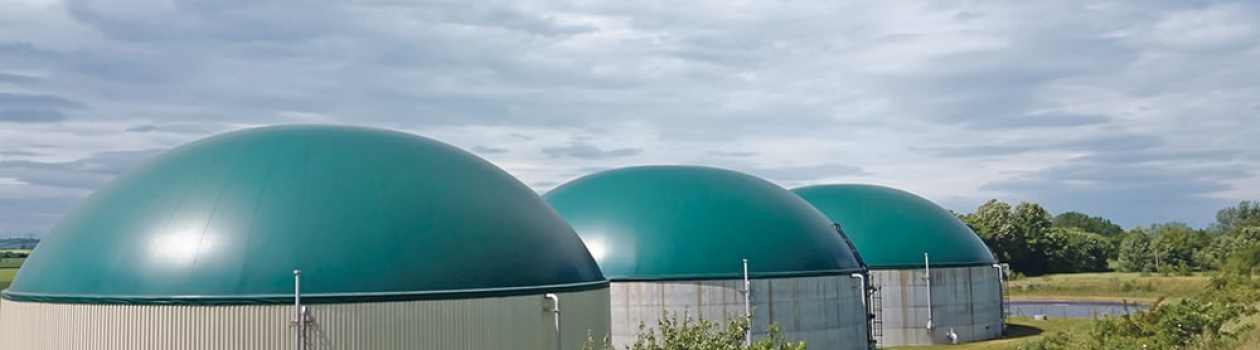 Biogas Plant Digester Monitoring