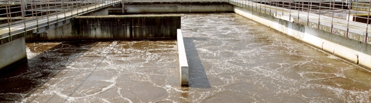 Chemical Oxygen Demand Monitoring in a Municipal Wastewater
