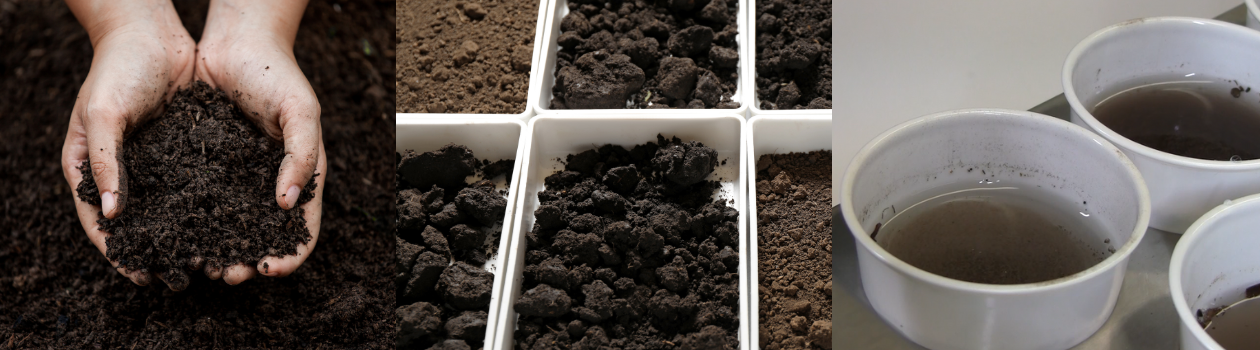 Measuring Exchange Acidity for Soil Management