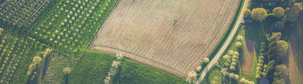 Streamlining Soil Analysis for Agriculture Laboratories