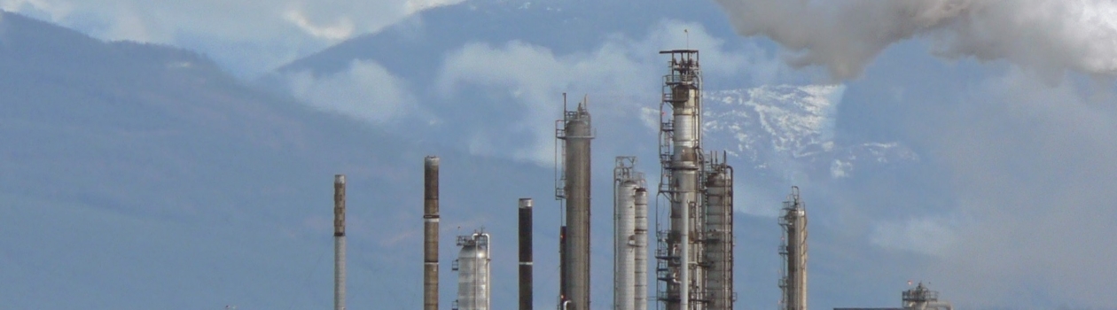 PeCOD® Case Study – Petrochemical